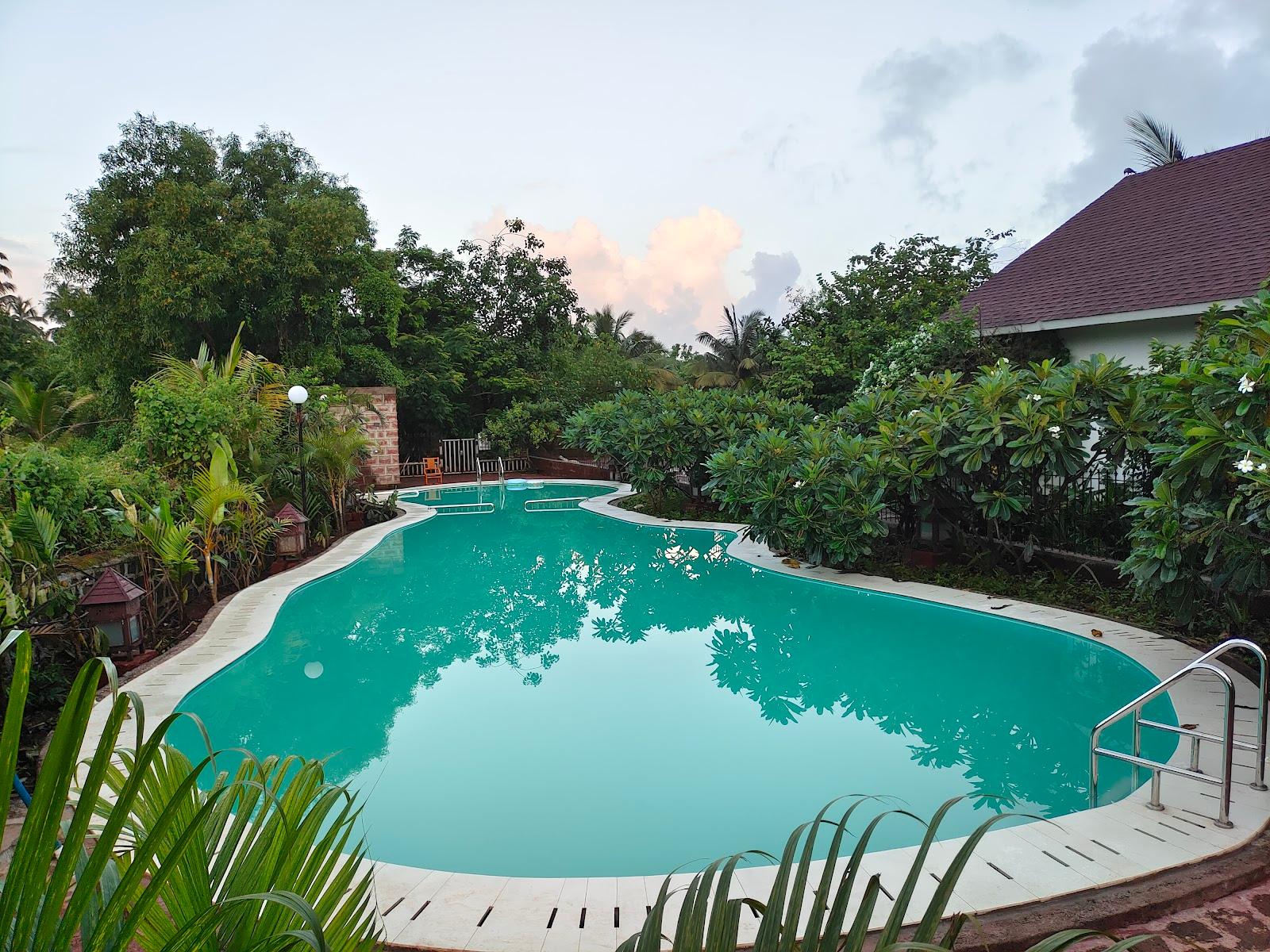 Exotica The Beach Resort – photo 4