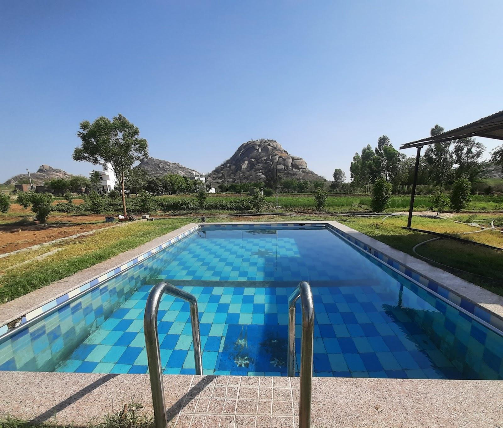 Jawai Dam Stay. Leopard Safari & Birds Photography. – photo 1