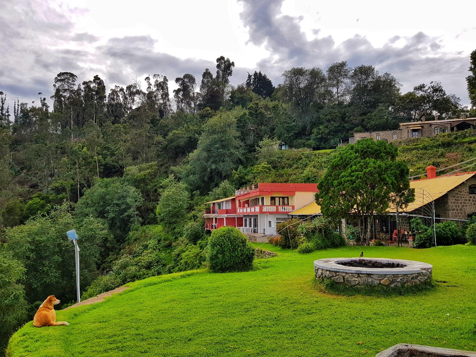 Greenlands – photo 1