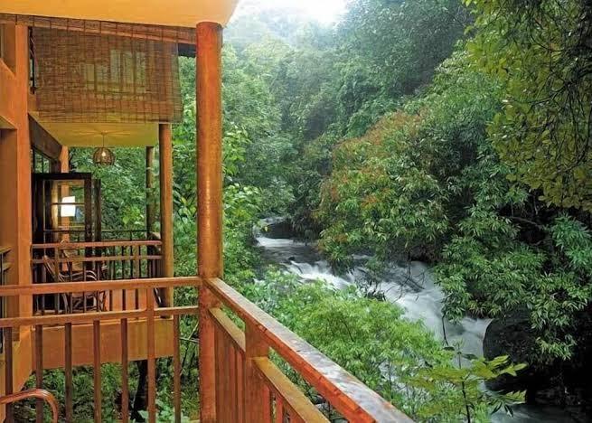 Vythiri Views Resort – photo 1