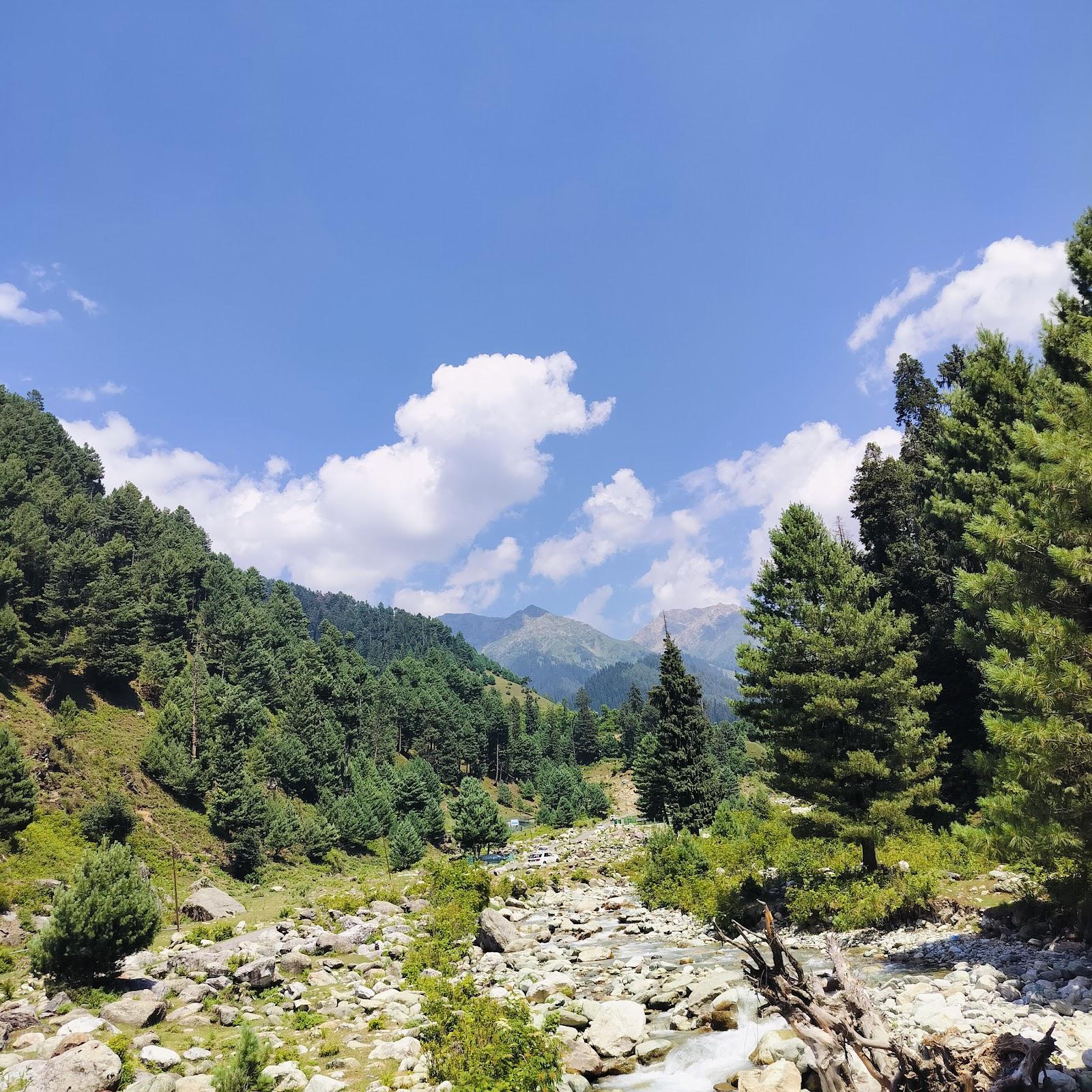Grand View Resorts chatpal – photo 4