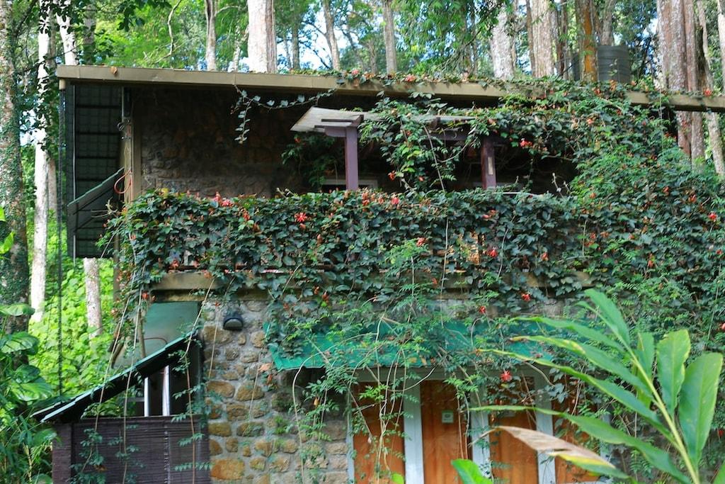 Homestays – photo 1