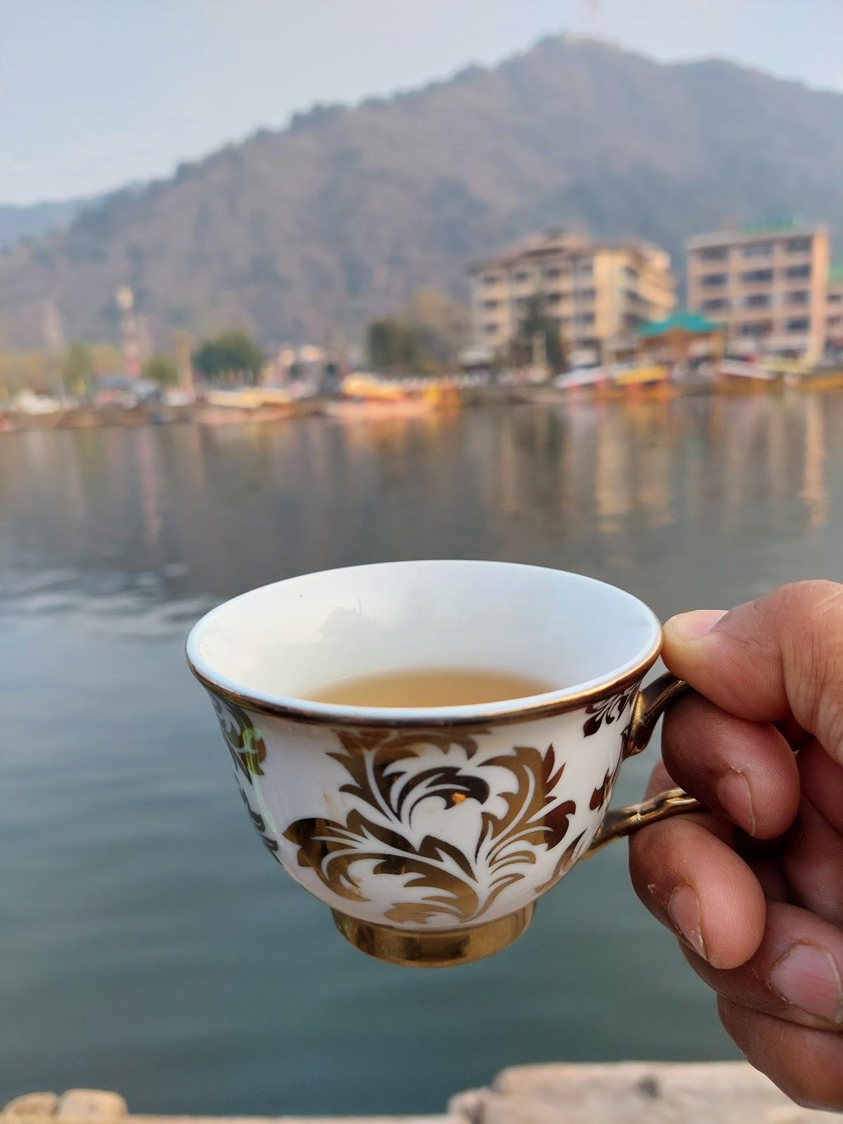 Houseboat new Pala palace front line ghat no7 – photo 2