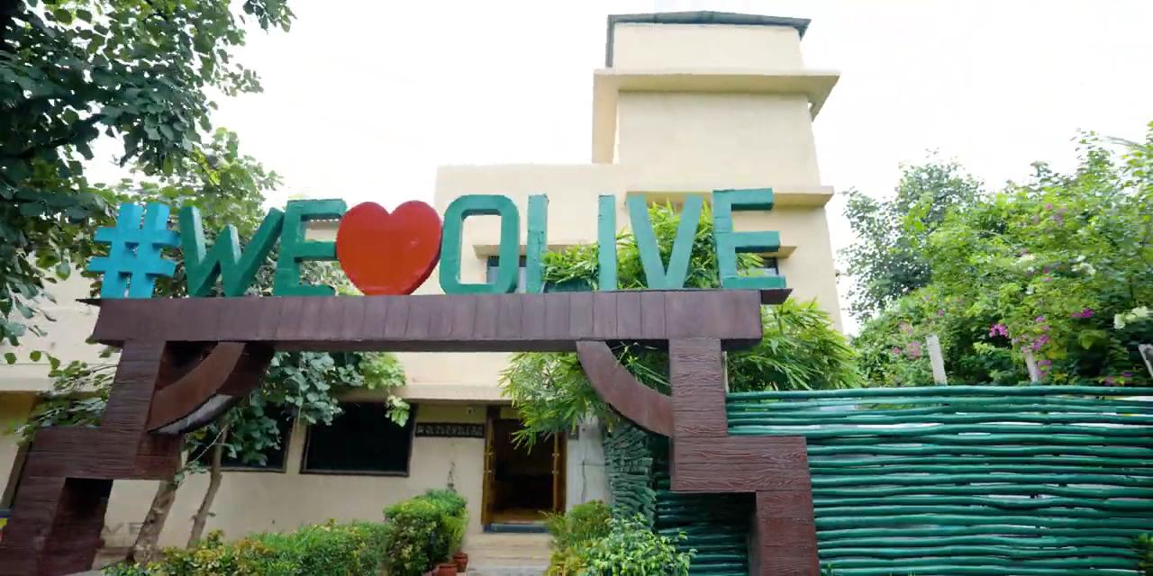 Olive Resort – photo 2