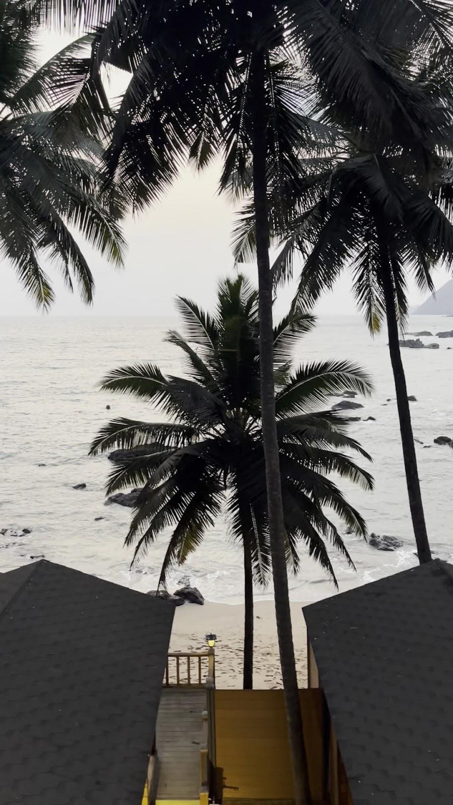 Cola Goa Beach Resort – photo 2