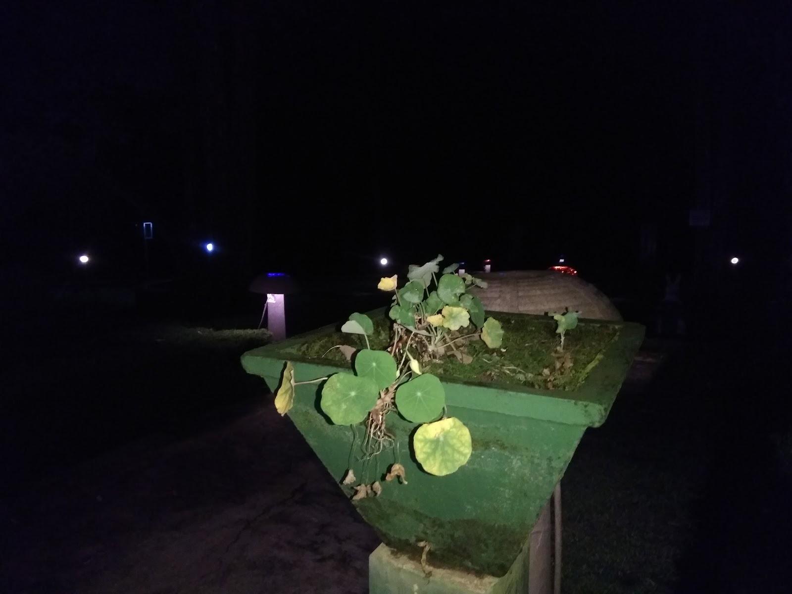 KTDC Periyar House – photo 4