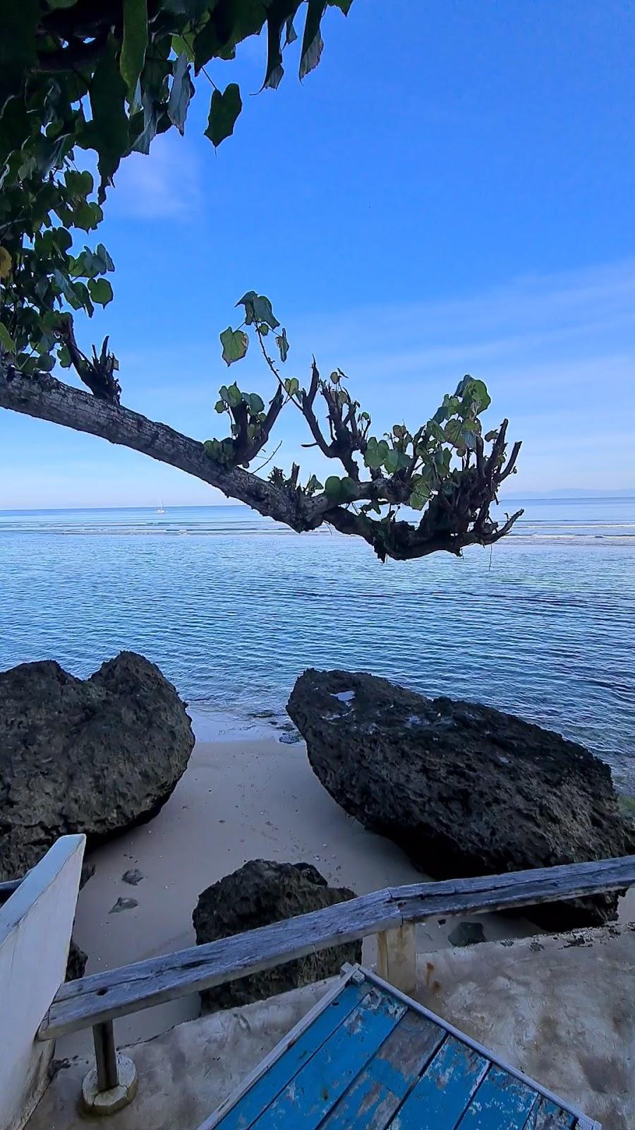 Rock'n Reef – photo 2