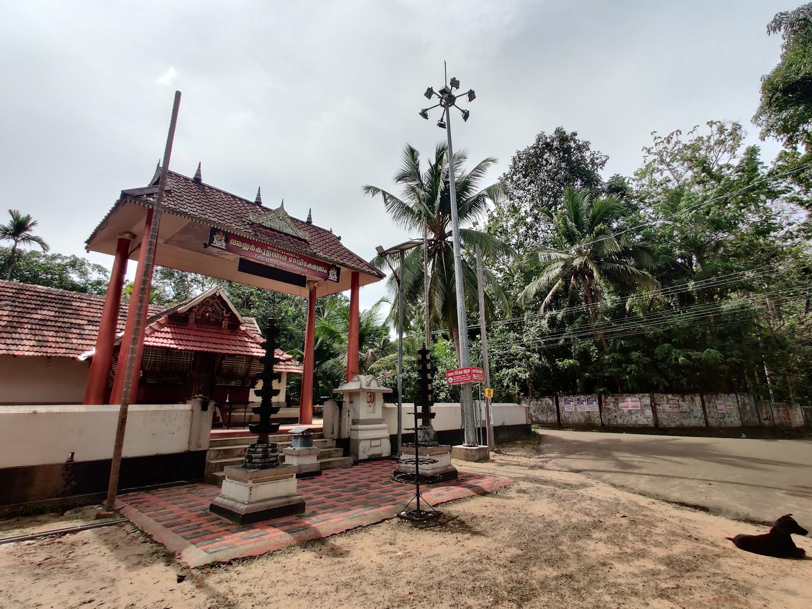 Anandam Stays Homestay – photo 4