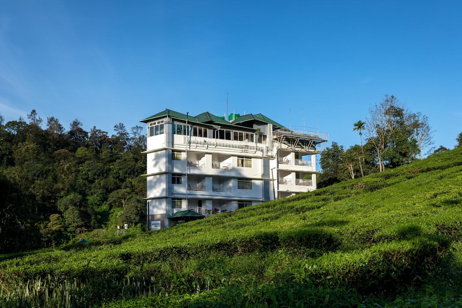 Monsoon Grande Munnar