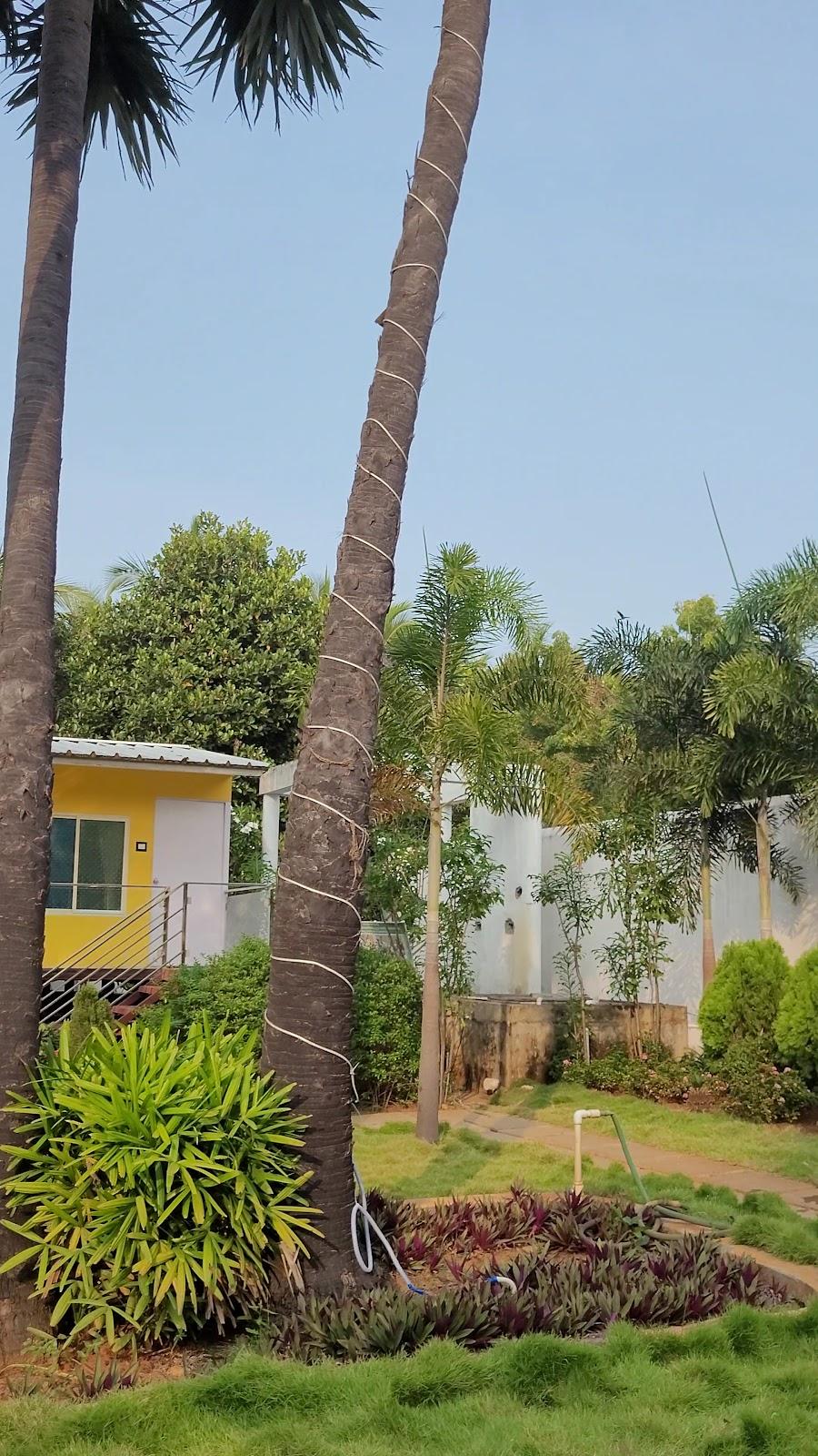 Nathan Resort with Swimming Pool – photo 2