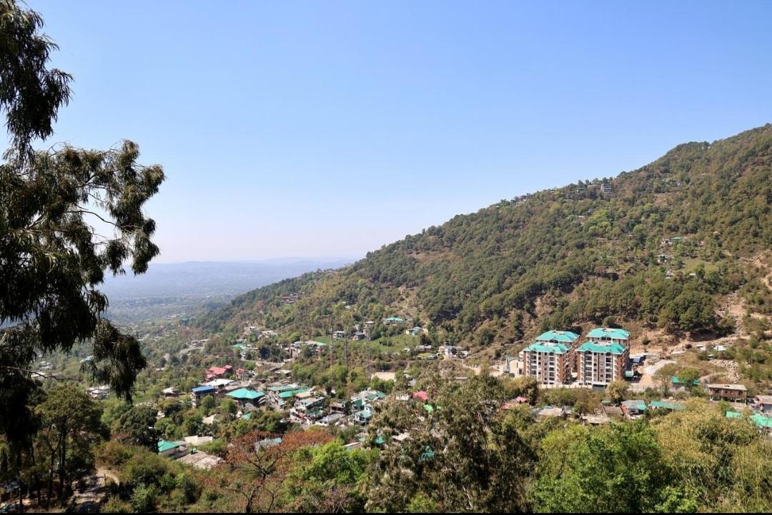 Alpine BNB Dharmshala – photo 1