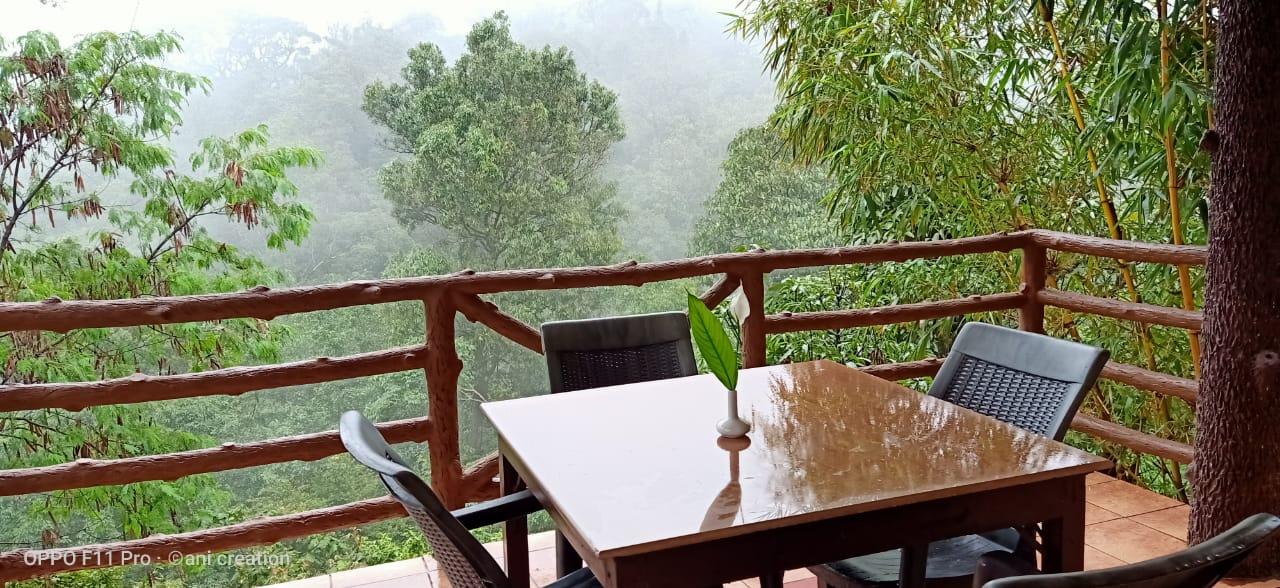 Wild Elephant Resort Munnar – photo 1
