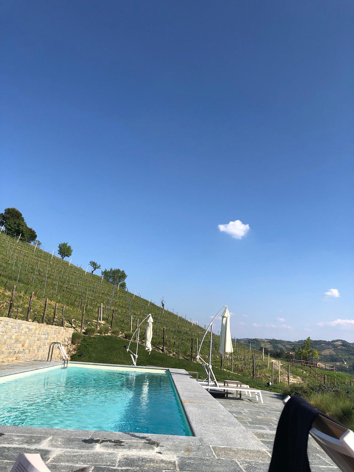 The house in the vineyard – photo 1