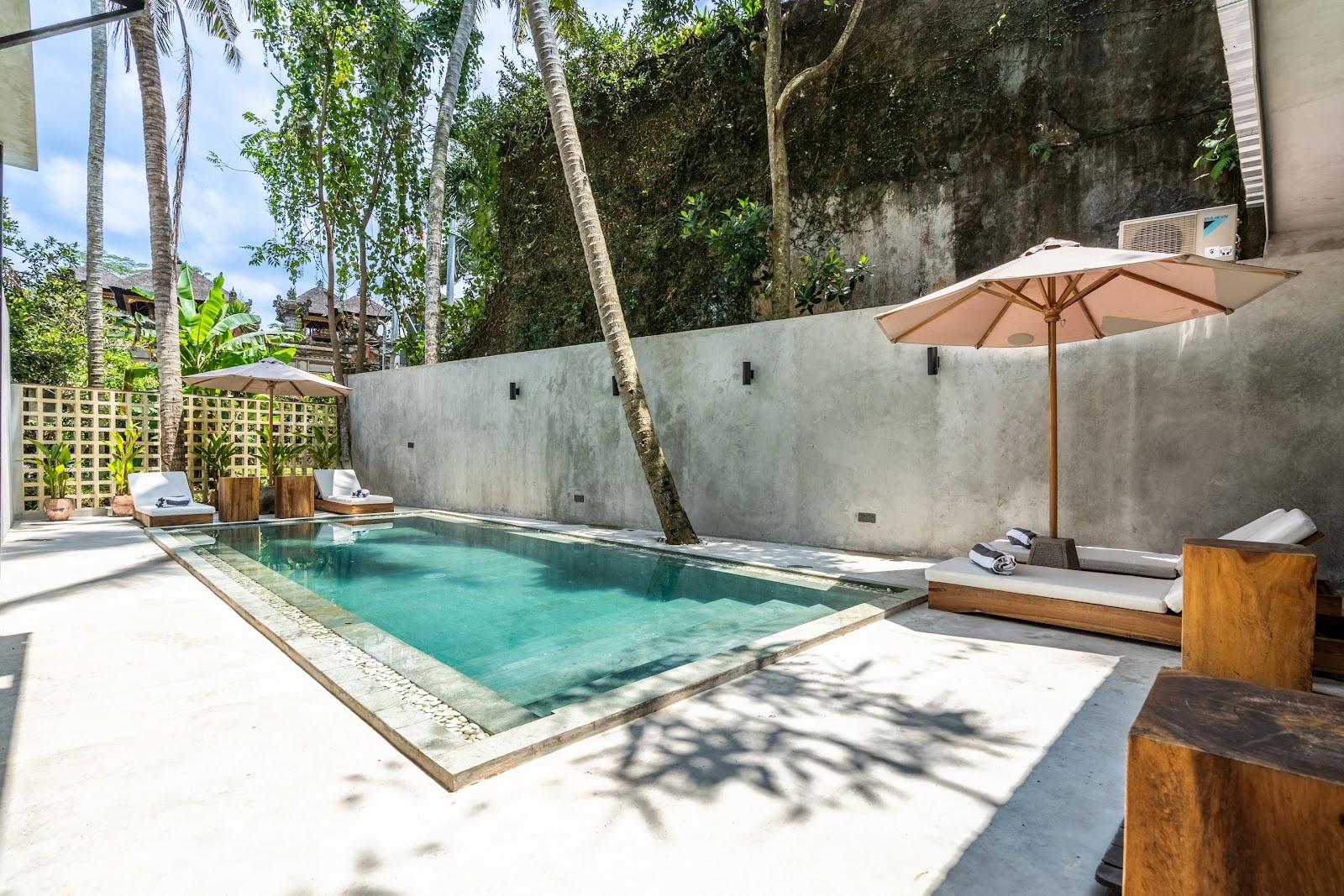 Jungle Vista – photo 4