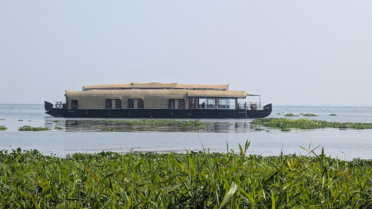 Vanam – photo 3