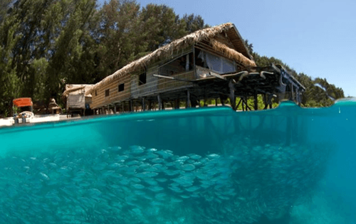 Papua Paradise Eco Resort – photo 2