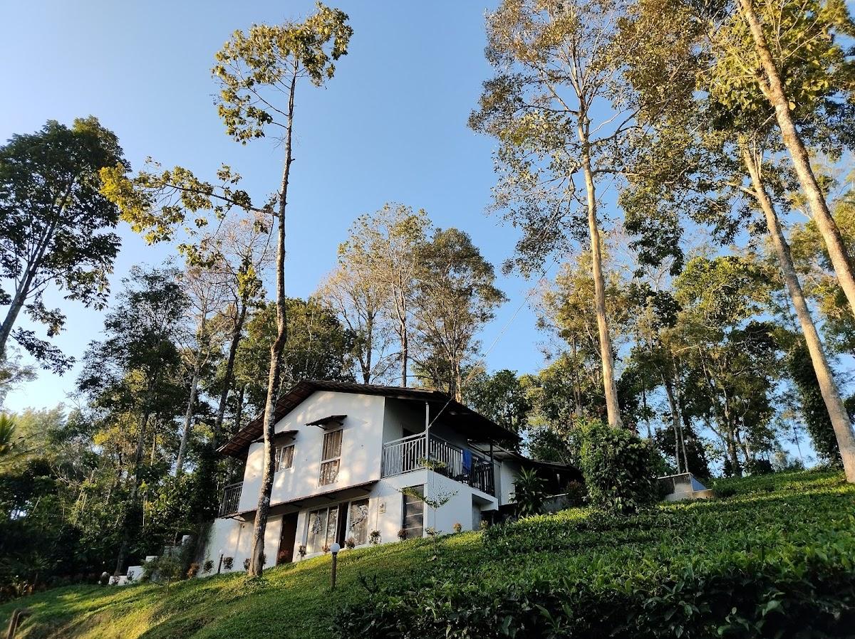 Tealawn Pool Villa Munnar – photo 3