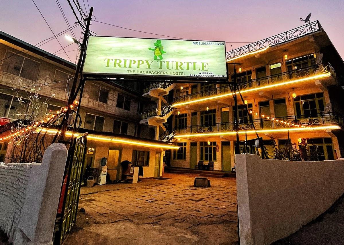 Trippy Turtle Hostel – photo 1