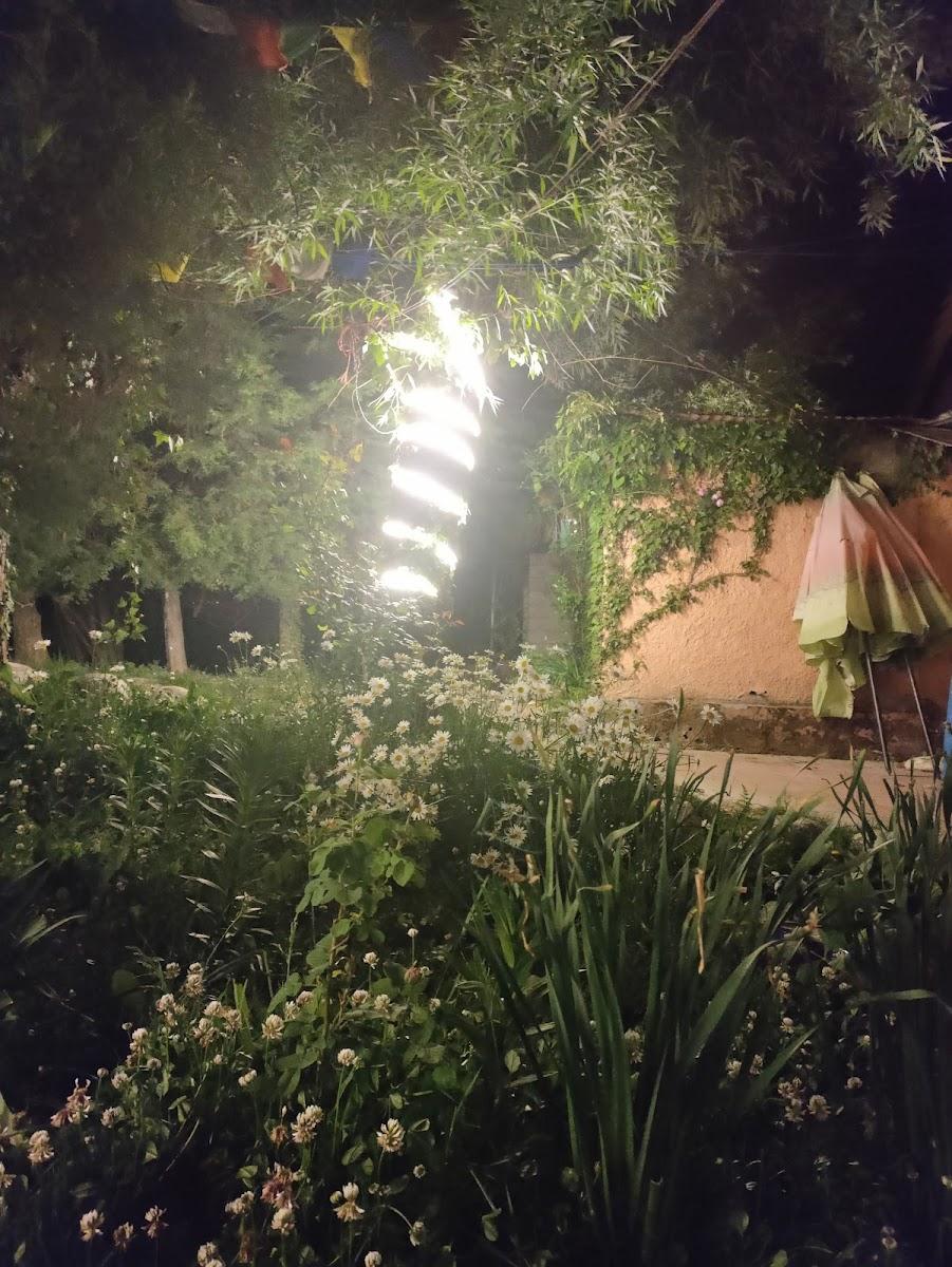 Hogwarts Cafe and Cottage – photo 3