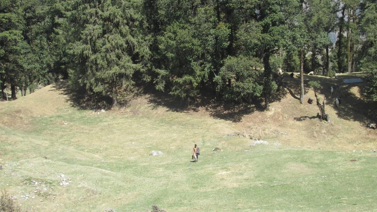 Deoban Forest Rest House – photo 3