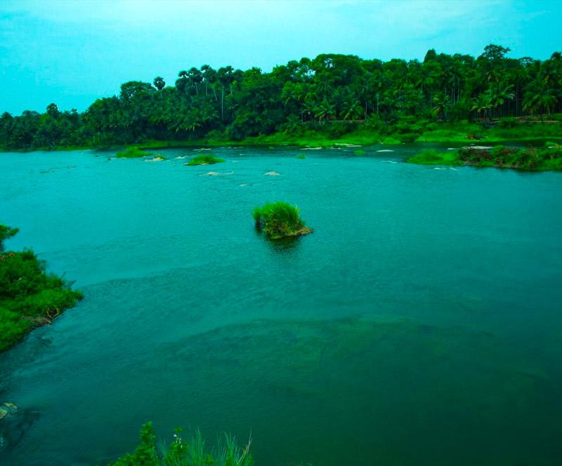 Sunvalley Farmstay Palakkad – photo 4