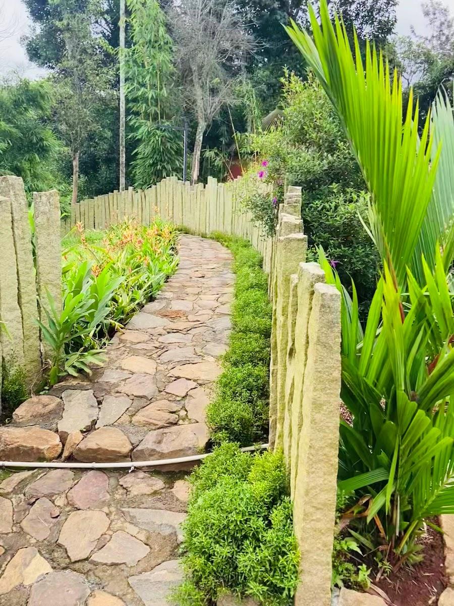 Jungle tunes resort – photo 3