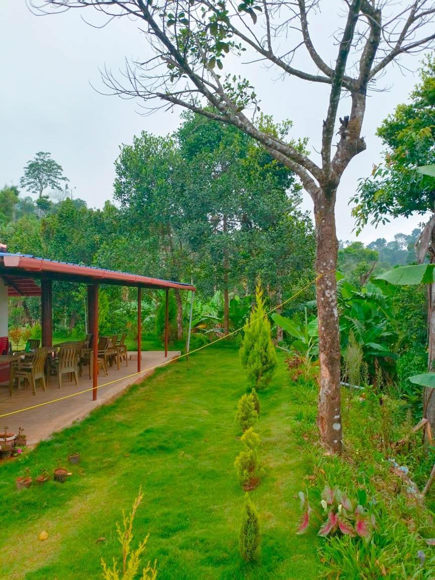 The Hiraya Retreat – photo 3