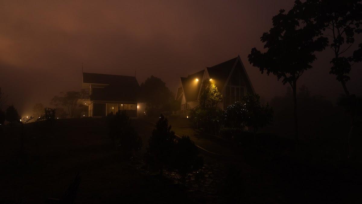 Ainsley vagamon – photo 1