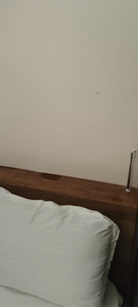 Krishnakripa Residency – photo 1