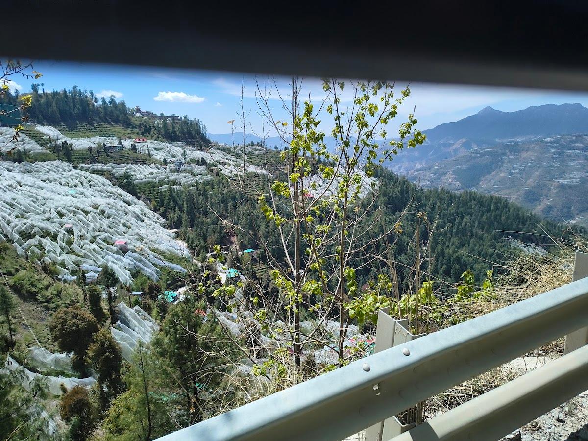 Theog Shimla Himachal Pradesh – photo 3