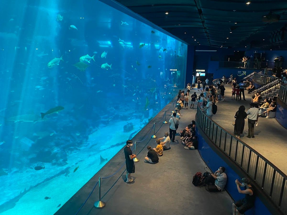 Resorts World Sentosa – photo 2