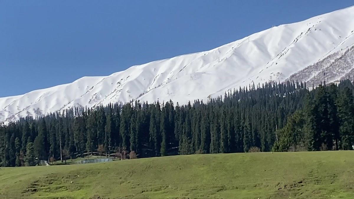 The Meadows Gulmarg – photo 2