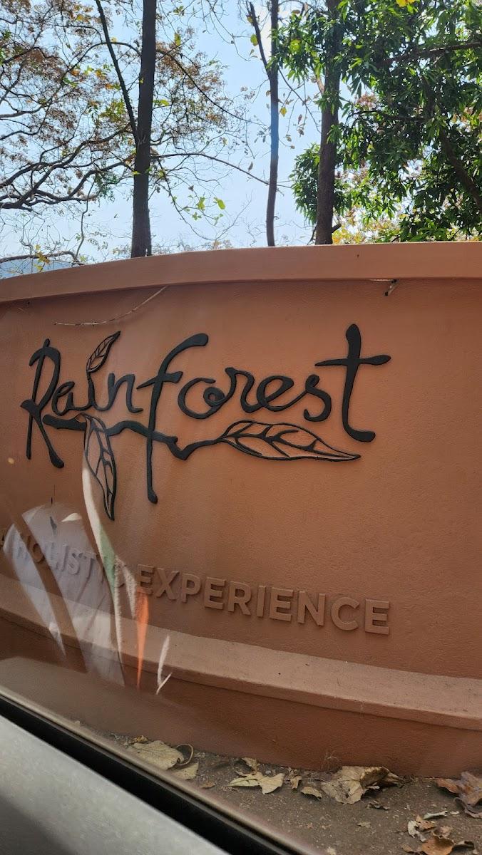Rainforest – photo 3