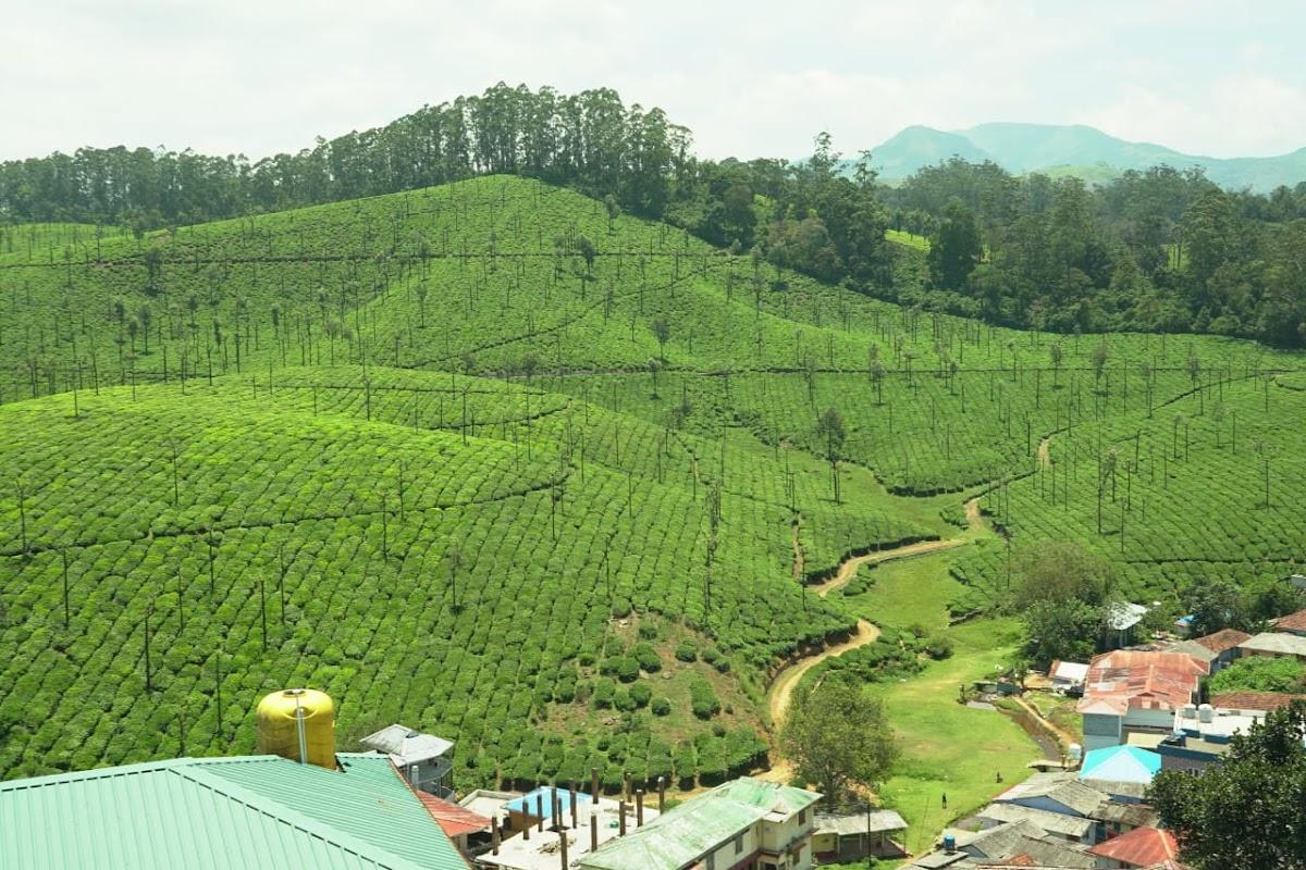 Seventh Heaven Homestay – photo 4