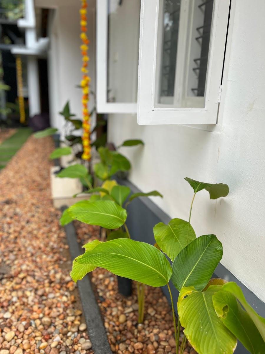 Little Chandhana Guest House – photo 4