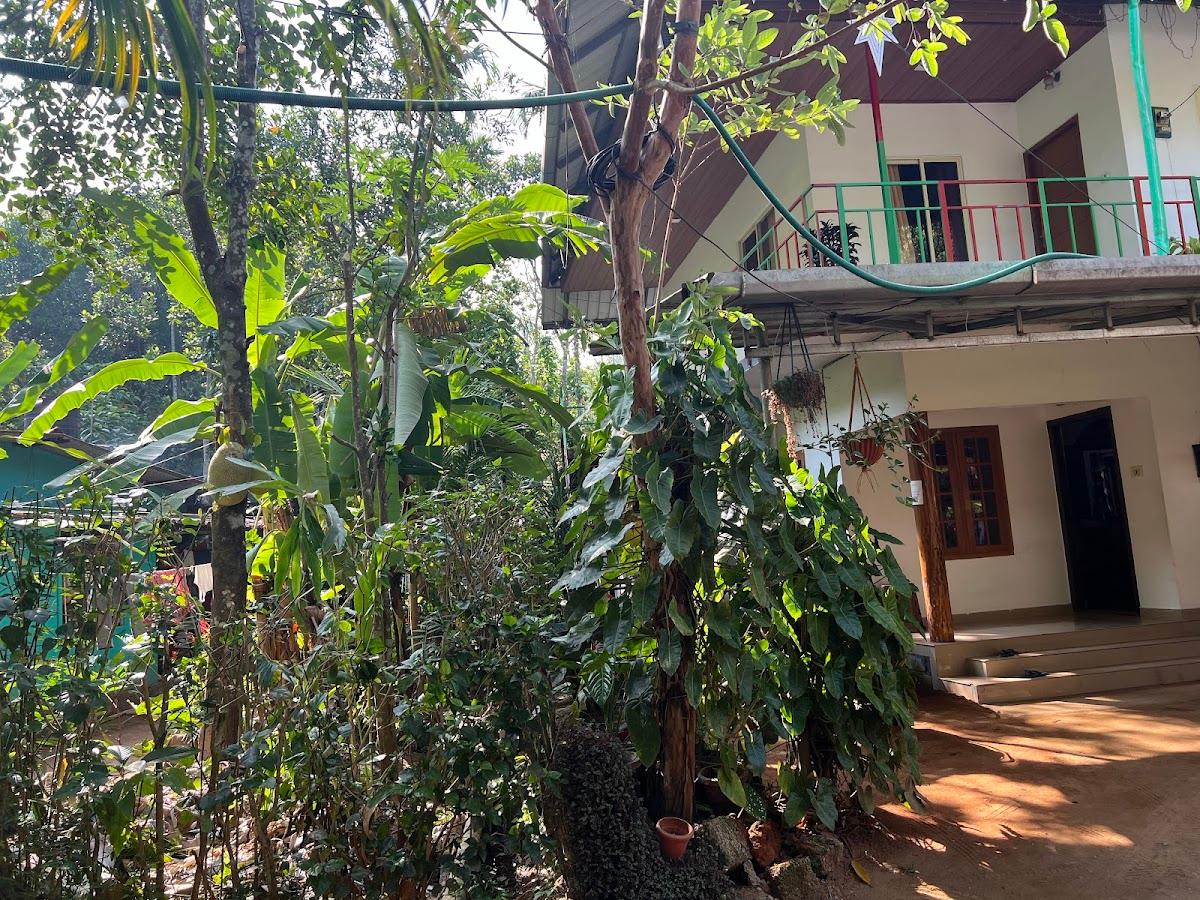 Simple Stays Munnar - The Best Home Stay in Munnar – photo 2