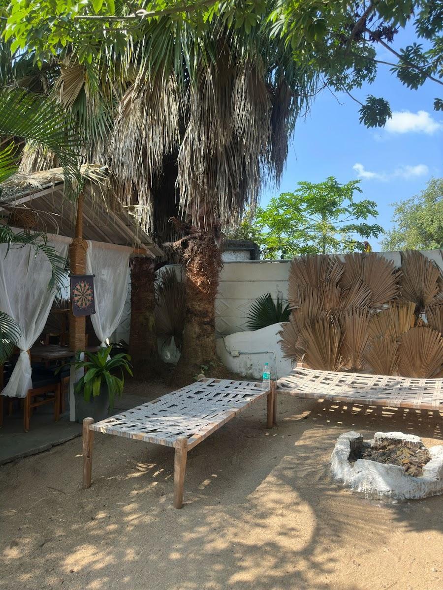Tanas Pench – photo 3