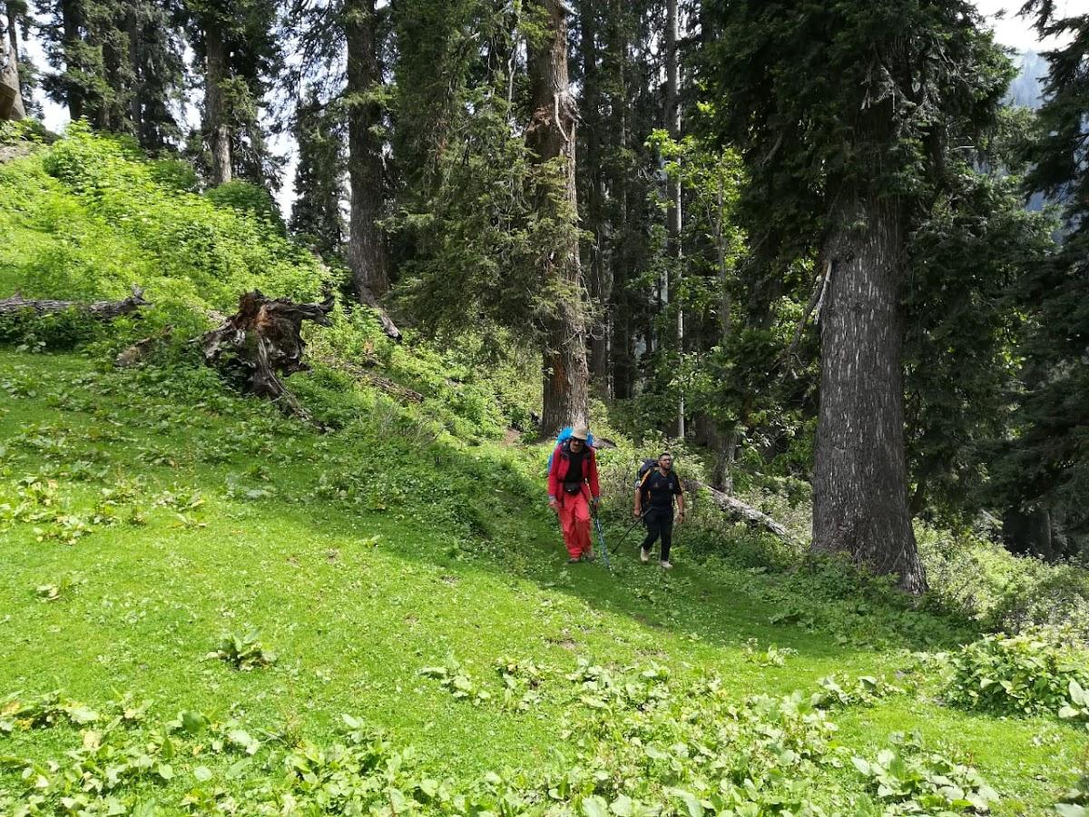 Sharan Forest Resort – photo 3