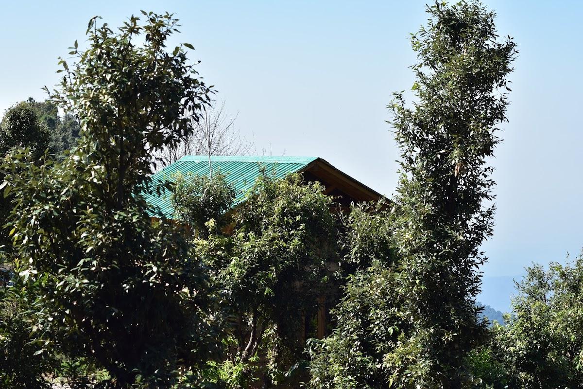 Bagar Trails – photo 3