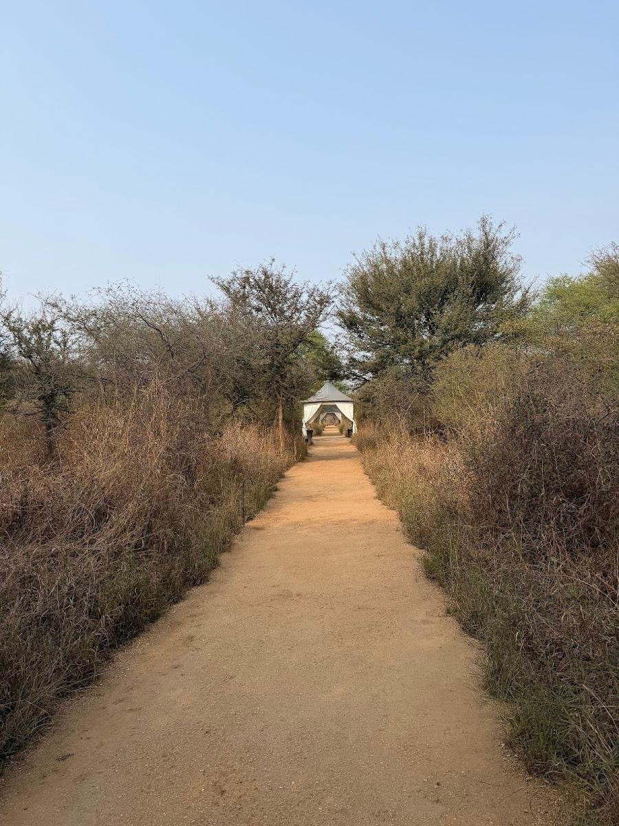 SUJÁN JAWAI Camp – photo 4
