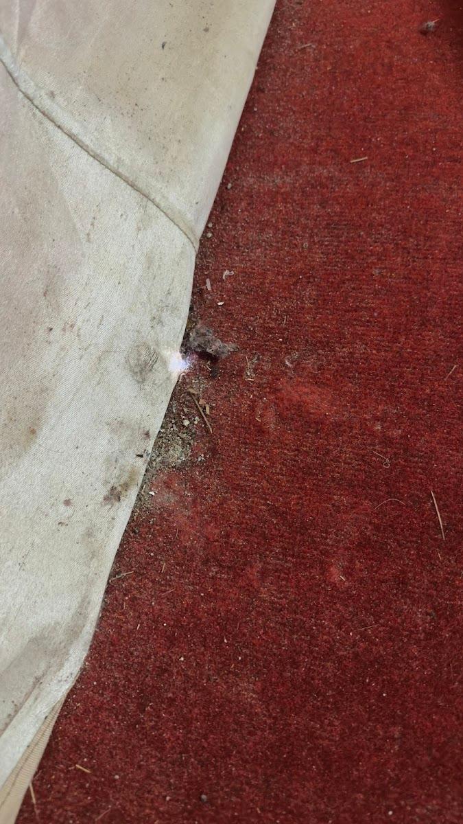 The Harsil Stay – photo 3