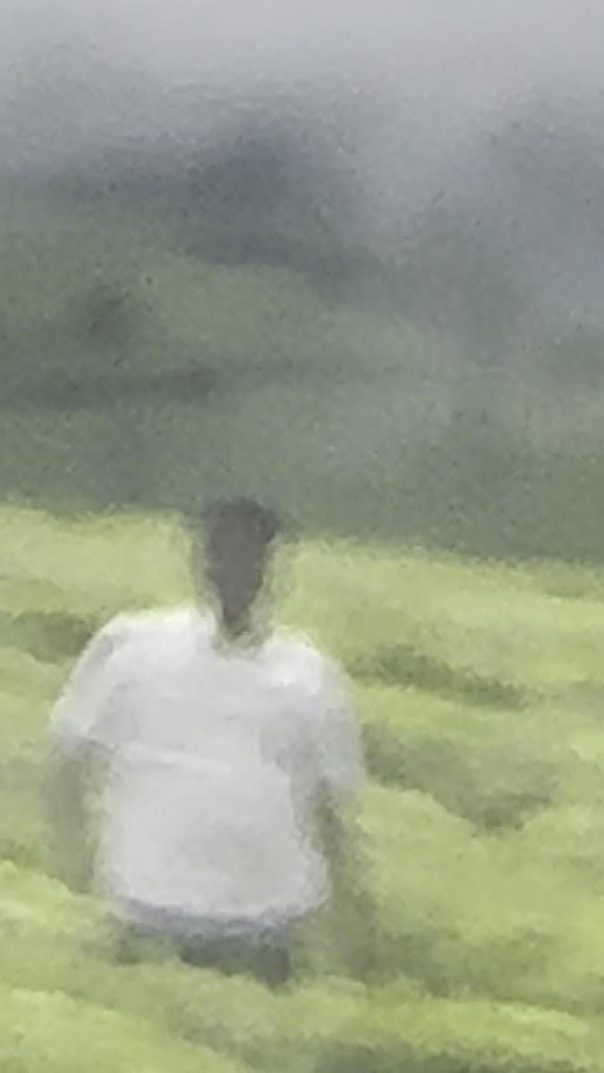 Tea Gardens – photo 3
