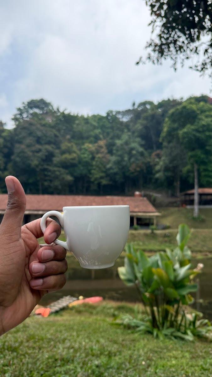 Jungle Park Resort by GreenEscapes – photo 2