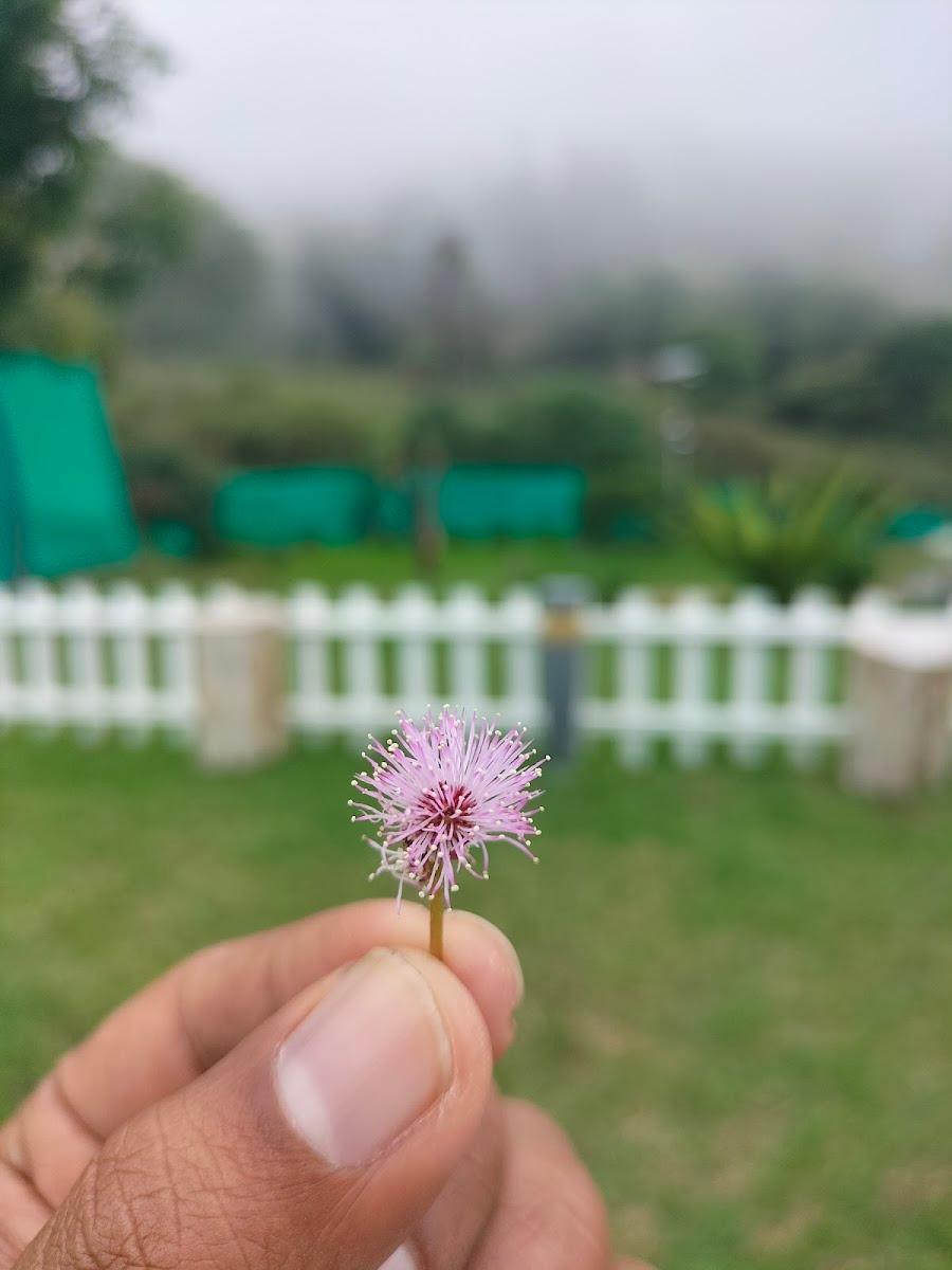 Glyngarth Resort Ooty – photo 3