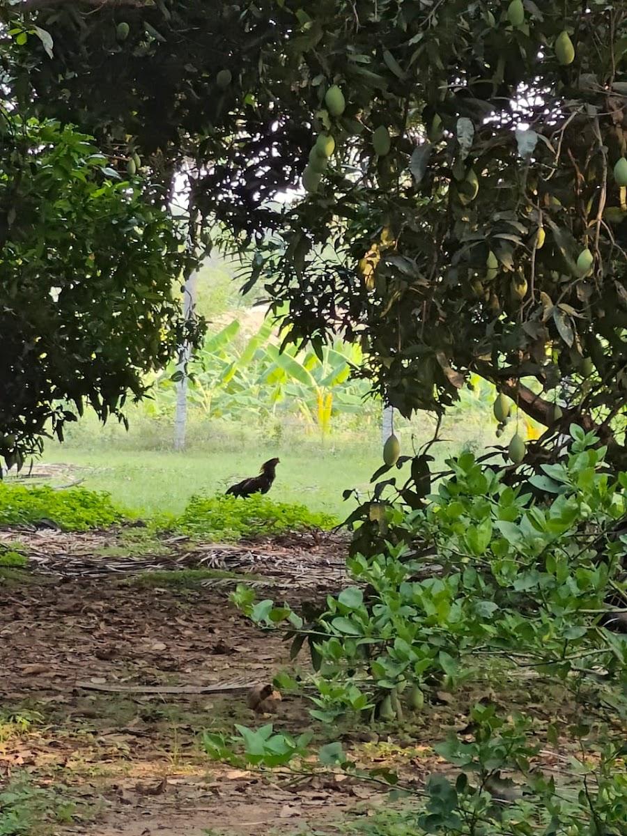 Vinmeen Retreat – photo 3