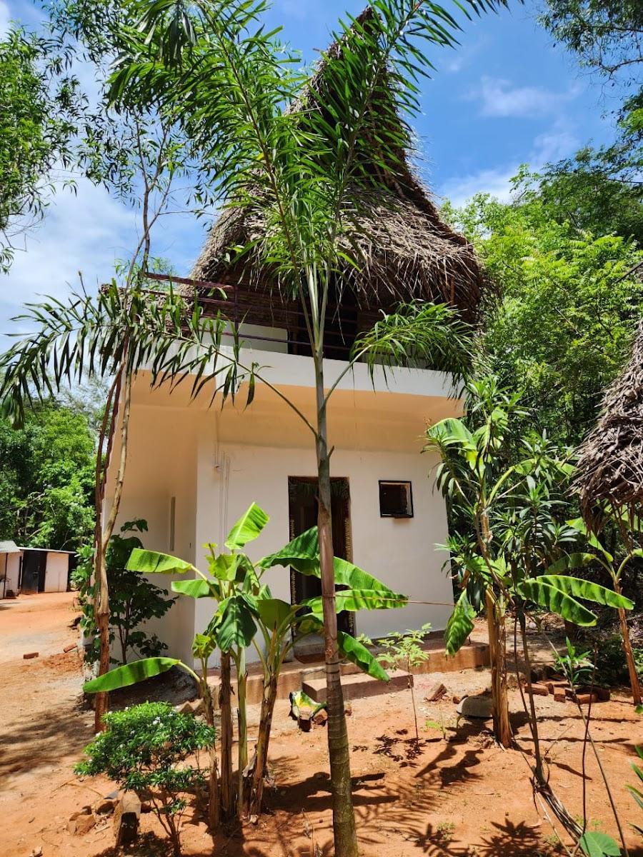 Nebula Nest Hostel & Cafe