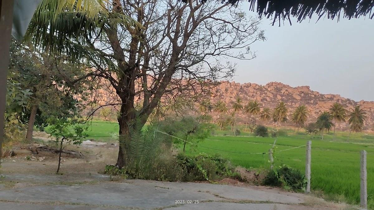 Gowri Nature Stay – photo 2