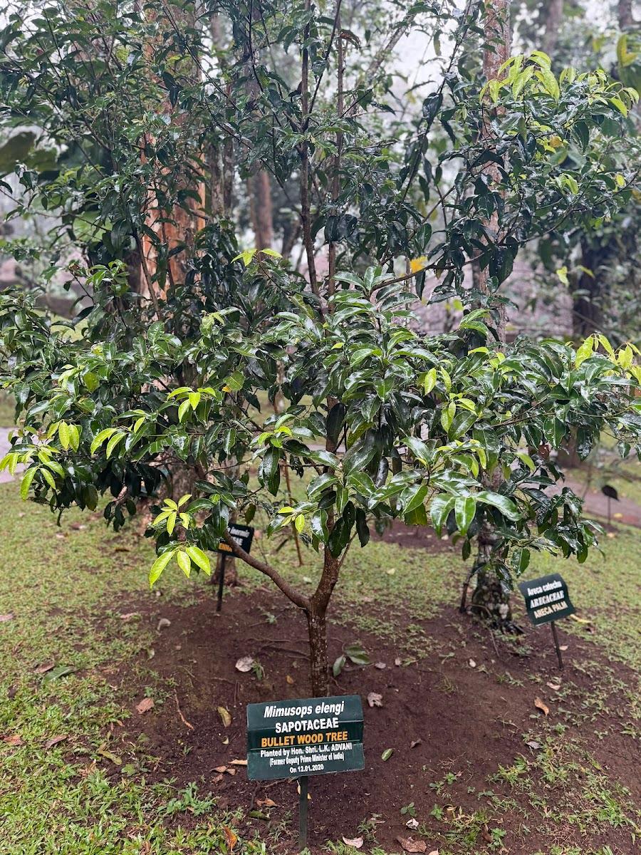 Spice Village – CGH Earth – photo 4