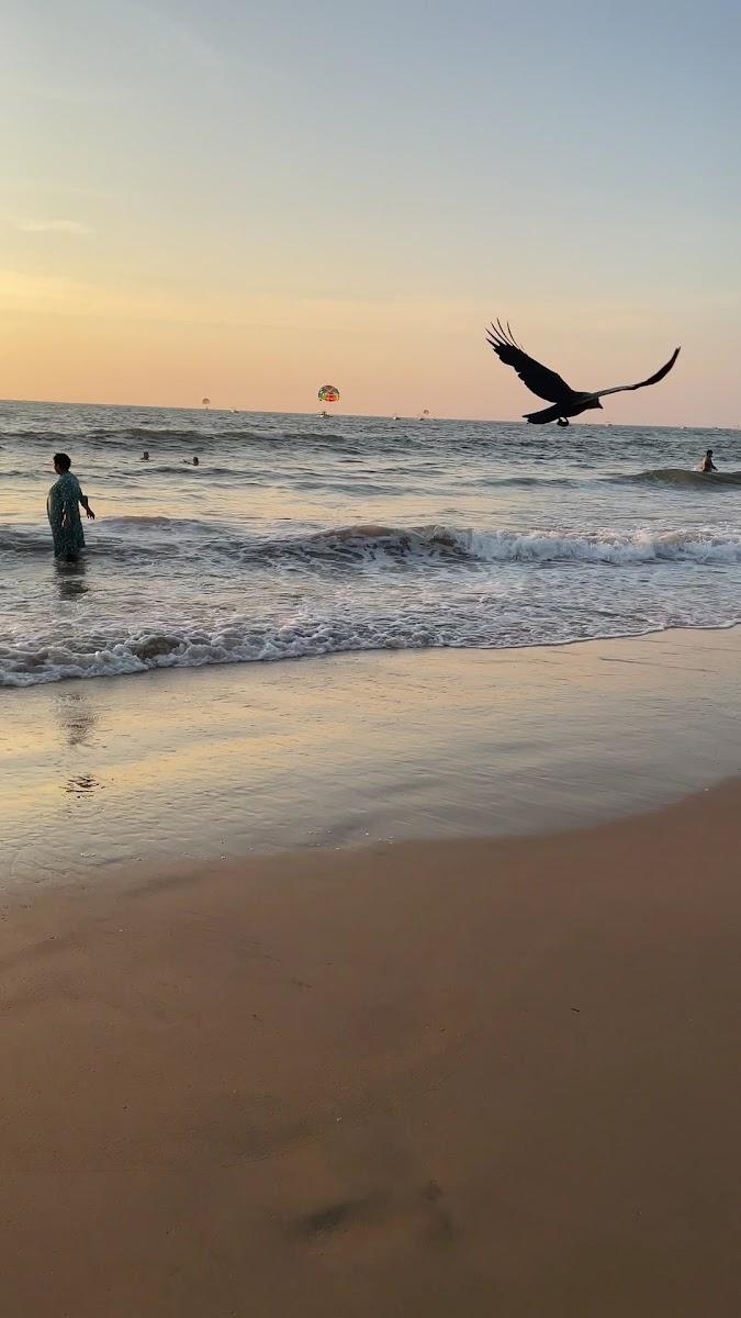Calingut Beach Corner – photo 3