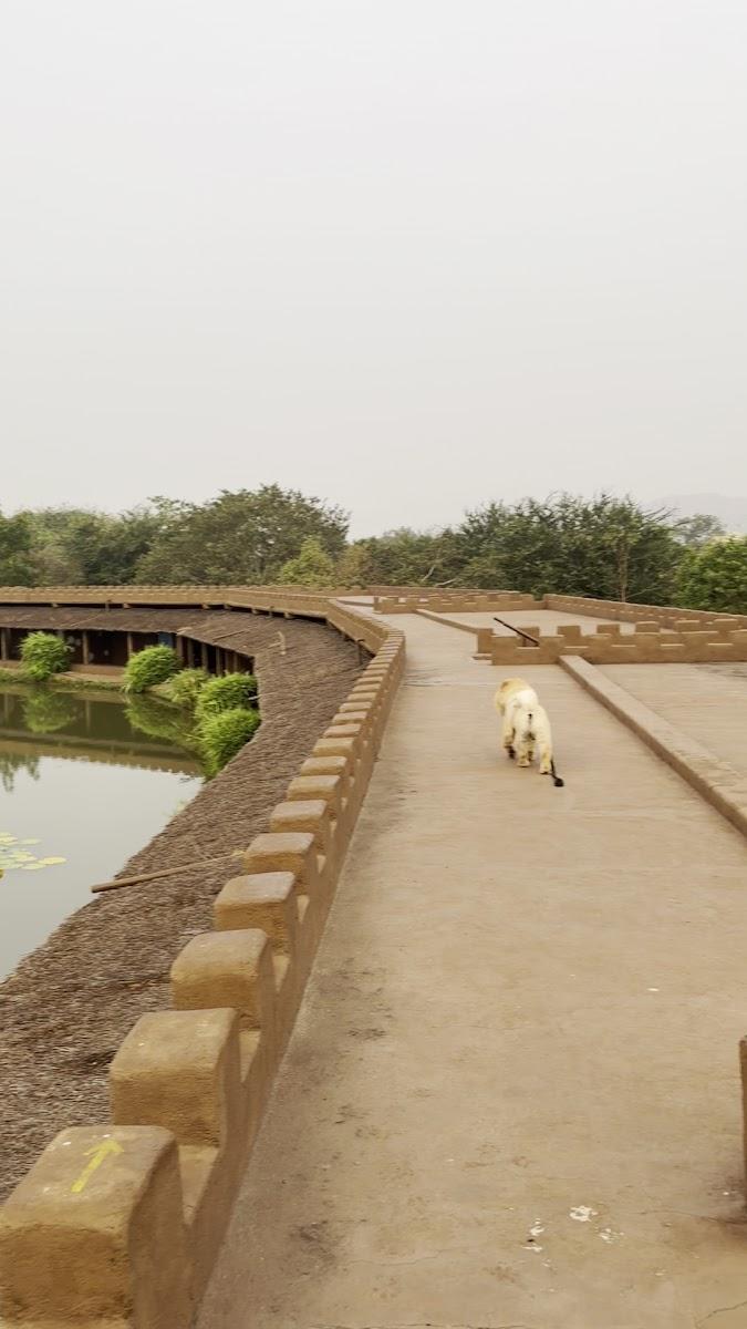 Hampi's Feathers Resort – photo 3